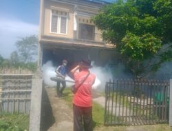 Desa Sinar Pagi, Kaur Selatan, Gelar Foging Cegah Penyebaran DBD