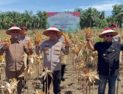 Kapolda Bengkulu Hadiri Panen Raya Jagung Kuartal II: Dorong Ketahanan Pangan Dan Lapangan Kerja Baru