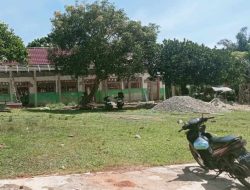 Proyek Revitalisasi SDN 64 Kaur Membawa Manfaat Ekonomi Bagi Masyarakat