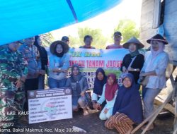 Desa Air Dingin Tanam Jagung Dukung Ketahanan Pangan 2025