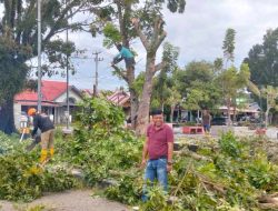 DLH Kaur Tata Kota, Serta Dukung Perang Sampah