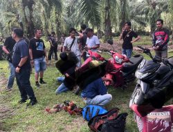 Polres Kaur Tegas Berantas Judi Sabung Ayam